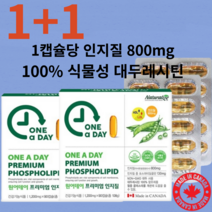 HDL LDL 저밀도 고밀도 콜레스테롤 약6개월분 건기식 인지질 식물성레시틴 대두레시틴