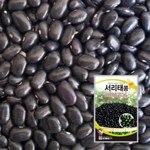 서리태콩 씨앗 씨 종자 서리태 30g