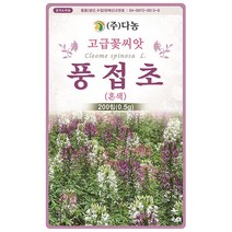 풍접초 혼색 씨앗 4000립(10g), 단품없음