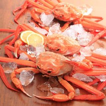 울진 후포항 붉은대게3미(2.2kg내외), 단품