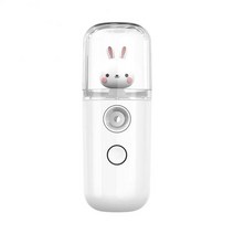 가정용피부관리기 리프팅얼굴스팀기USB 충전식 안개 스프레이 어 미니 크리 에이 티브 나노 페이스 페이셜, 06 06