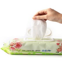 케어메이트 효랑 물티슈 빅사이즈 캡형60매x5개 도톰한 엠보싱 특대형
