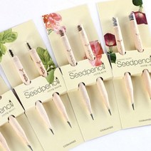 재미있는 씨앗연필 미니식물 꿈쟁이 2개입 원예 심기 몽당 5384xz, 방울토마토