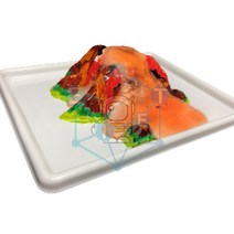 화산활동 모형실험Kit(5인)