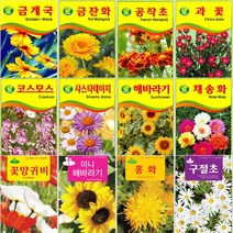 꽃씨앗 소포장 모음 코스모스 해바라기 백일홍 봉선화, 30.흰민들레 100립
