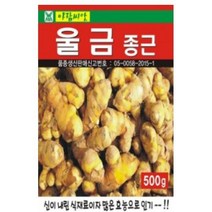 울금씨앗-울금종근(500g)