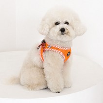 리얼펫 강아지 체크 슬림 하네스, Orange