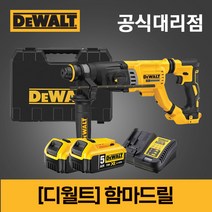 디월트드릴 20V MAX 로타리 함마드릴 집진기 먼지흡입 DCH263 DWH205, 옵션 2DCH263P2 (세트), 1개