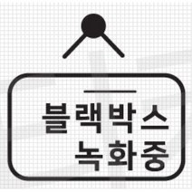 블랙박스 녹화중 스티커 데칼 튜닝 카니발 익스플로러 그랜져 베뉴 더뉴코나 차량 쏘나타DN8 QM3 스타렉스 문구 GV70 K7 올뉴K3 스파크 TG 올란도 SM5, 오렌지, A타입