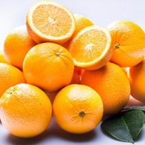 오렌지14과 최저가로 저렴한 상품의 판매량과 리뷰 분석