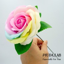 레인보우 왕장미 비누꽃 한송이 꽃대포함