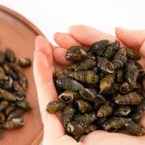밥상의품격 자연산 깐 다슬기, 3개, 깐다슬기 400g, 깐다슬기