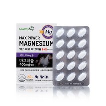 맥스 파워 마그네슘 1 350mg x 90정 3개월분
