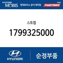 스트랩 (1799325000) 아토스 베르나 하이브리드 라비타 클릭 엑센트 싼타페 티뷰론 아반떼