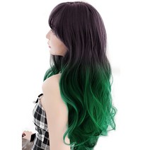 이쁘다샵 가발위드 옴브레 뉴스타일 웨이브 붙임머리 5피스 세트, 다크 옴브레그린50cm, 1세트