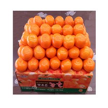 비가림 타이벡 감귤 5kg 고당도밀감 서귀포감귤, M크기