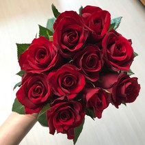 <특가세일> 에밀리정원 도미니카 레드장미 1단(10대) 농장 생화택배 화훼농가돕기” class=”wr-img”></a></div></p></div></p></div></p></div><div class=