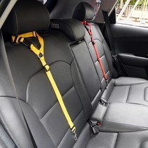 차량용 헤드걸이형 애견 안전 벨트, 1개, 하늘