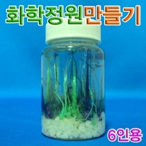 위withh_향앤미과학 화학 정원 만들기 6인용 삼투압현상실험 관찰♥withy, ♥withyou!