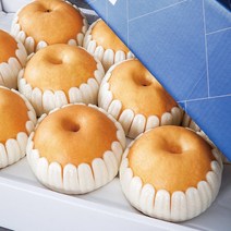 [농부마음] 나주 산지직송 나주 꿀 배 3kg 5kg 7.5kg 15kg 명절 과일 선물용 & 가정용 햇배 신고배 선물 세트, 1box, 선물세트 7.5kg 13-15과