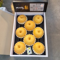 2023 설 선물세트 특상 백화점 납품 배 안성배 7.5kg, 1박스