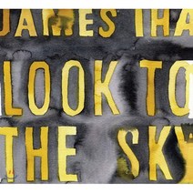 [LP] James Iha (제임스 이하) - 2집 Look To The Sky [LP] : 2020 일본 RSD 한정반, Universal, 음반/DVD