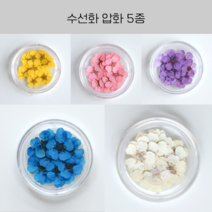 UV 레진 공예 재료 수선화 압화 드라이 플라워 레진아트재료, 2.연핑크