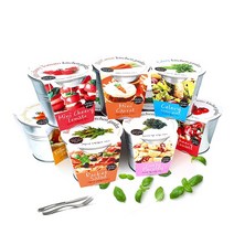 마이플랜트 양철 키친가든 베란다텃밭 텃밭세트 재배세트 어린이 체험학습 채소키우기 과일키우기, 루꼴라