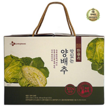 라이브잇 CJ제일제당 한뿌리 양배추즙, 40개입, 80ml