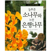 늘푸른 소나무와 노란 은행나무, 한국헤밍웨이