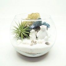 비오스 미세먼지 잡는 나만의 테라리움 DIY 키트4종 테라리움만들기, 1번