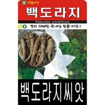 [워터트리몰] 백도라지씨앗(15000립) 채소 꽃 종자 재배 씨앗 허브 (A)