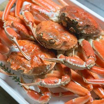 [연휴이후순차발송] 포항직배송 살이꽉찬 수율보장 100% 국산 구룡포 자숙 대게 선주직송 (명품/박달), 국산 박달대게(대) 살수율 80% 이상 3마리