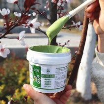 톱신페스트 나무 상처 치유 크림 보호제 치료제 식물, 센유 힐링 에이전트 500g (그린), 1개