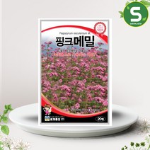핑크메밀씨앗 20립 일년생 꽃씨앗 종자 핑크색 녹화용, 단품