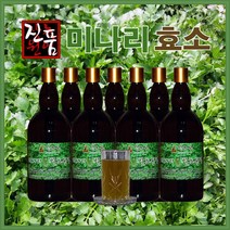 장녹원 미나리효소 1100ml, 2병