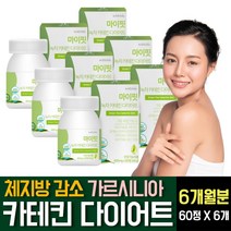 다이어트 보조제 카테킨 녹차 추출물 분말 가루 파우더 셀레늄 판토텐산 나이아신 MCT오일 가르시니아 HCA 탄수화물 컷팅제 체지방감소 분해 제거 40 50대 단기간 살빼기방법 추천, 60정 X 6개