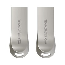 TEAMGROUP Metalwork Artistry C222 256GB USB 3.2 Gen 1 3.1/3.0 실버 메탈 읽기 140MB/s 플래시 썸 드라이브 컴퓨터/노트북과 호, 256GB (2-Pack)_C162 Secret Age
