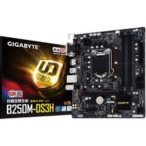 새로운 박스 Gigabyte / 기술자 B250M - DS3H 데스크 톱 1151 컴퓨터 메인보드 지원 DDR 4 메모리, default
