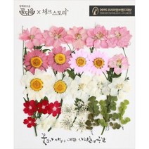 체크스토리 압화꽃 공예 B타입, 01 미니신부