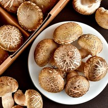 문경새재 무농약 송화고 고기버섯 일반형 500g, 단품