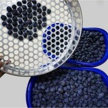 블루베리선별기 스테인레스 크기 과일망 수동 판, 14mm