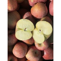 아침 사과 고당도 흠집 못난이 미색 사과10KG, 고당도 흠집 사과 5kg (16~24과)