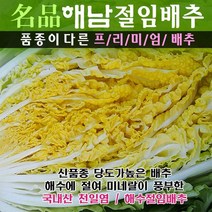 (산지직송) 명품해남절임배추 20kg (최고비싼품종 30년배추농사), 01월26일(목)도착