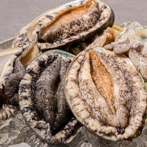 완도맘 생산자직송 활 전복 1kg, 1개, 1kg(9-10미)