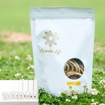 난다라이프 건레몬50G 레몬건조칩 건조레몬칩 과일칩