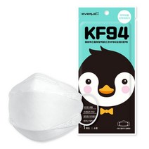 국내산 에버렉스 KF94 황사 방역마스크 소형 어린이마스크 아동마스크 소형마스크, 1개