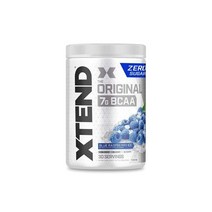 뉴 엑스텐드 BCAA 30서빙 블루 라즈베리 아이스