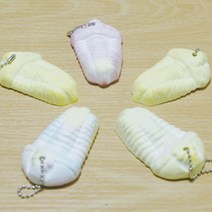 석고 삼엽충 화석만들기 (5인) 수업재료 초등 과학 방과후 창작