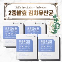 셀핏 모유 유산균 프로바이오틱스 4박스